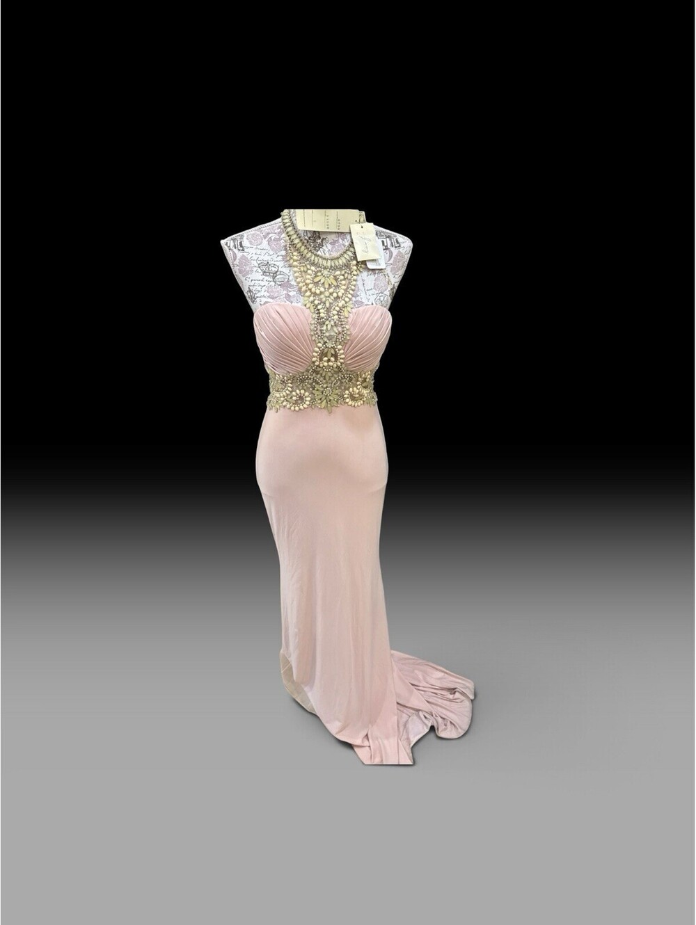 Vintage Jasz Couture Style 5799 Blush Beaded Lace Mesh Formal Gown Sz 2 NWT